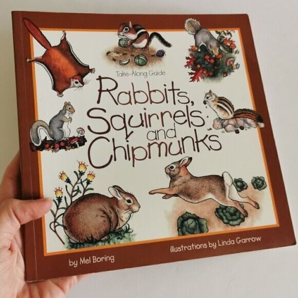 Take Along Guide Rabbits, Squirrels & Chipmunks Book, Fun with Nature Kids book - Picture 1 of 9